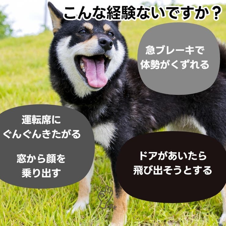 犬用シートベルト リード ベルト紐 | PlusNao | 詳細画像2 