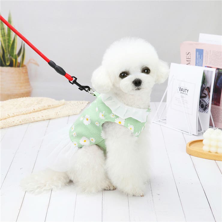 ドッグウエア ペットウェア ドッキングワンピース | PlusNao | 詳細画像5