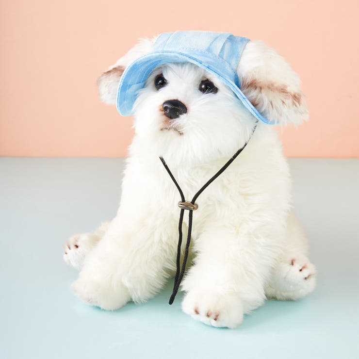 犬の置物 ヘッドフォン・帽子付き ペット帽子 ニット帽 ニットキャップ 犬 猫 ペット 帽子 ぼうし