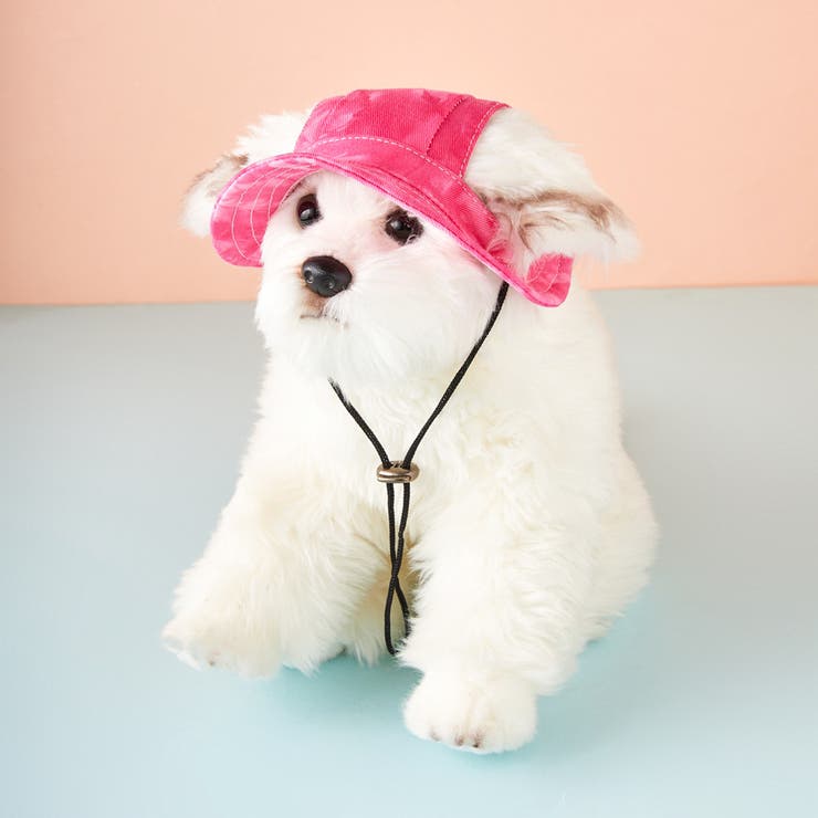 犬の置物 ヘッドフォン・帽子付き Amazon | 犬猫用帽子 かっこいい犬用帽子 ニット ペット用