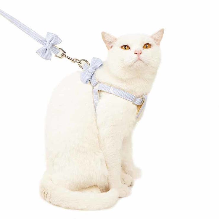 ハーネス リード 2点セット | PlusNao | 詳細画像2 