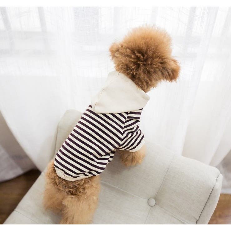 犬服 ドッグウェア パーカー | PlusNao | 詳細画像10 