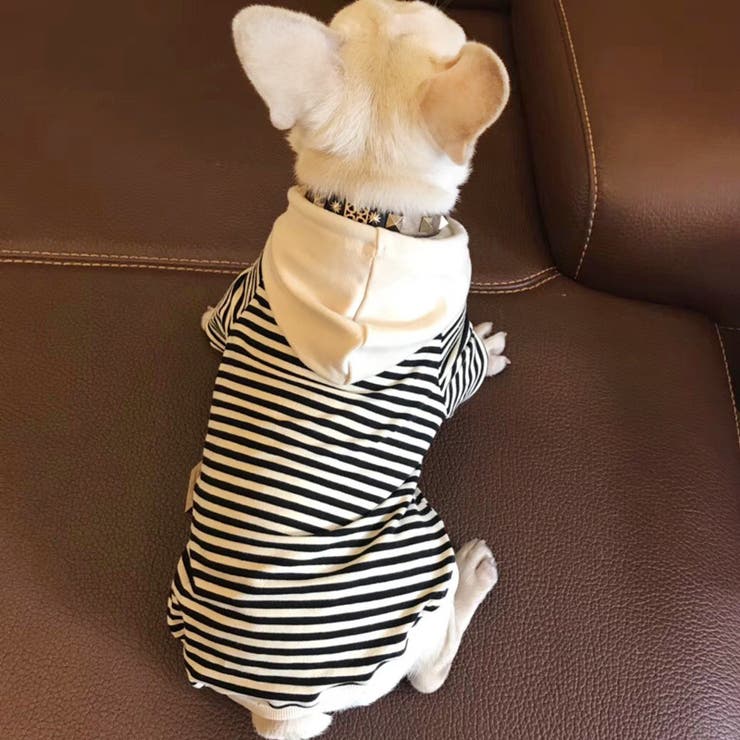 犬服 ドッグウェア パーカー | PlusNao | 詳細画像5 