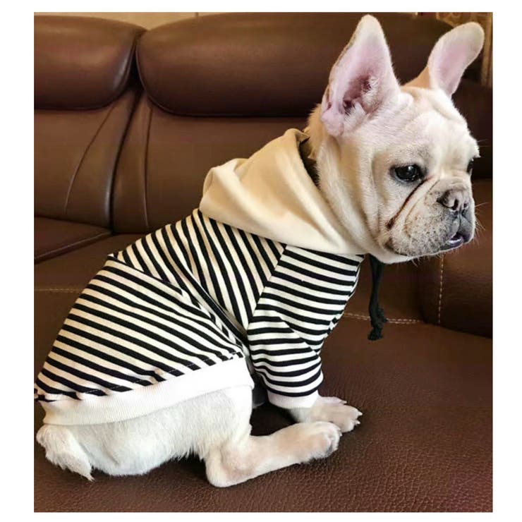犬服 ドッグウェア パーカー | PlusNao | 詳細画像9 