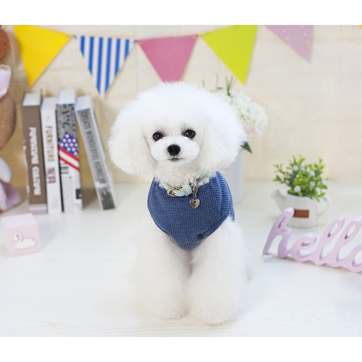 ドッグウェア 犬服 ペット服 | PlusNao | 詳細画像4 