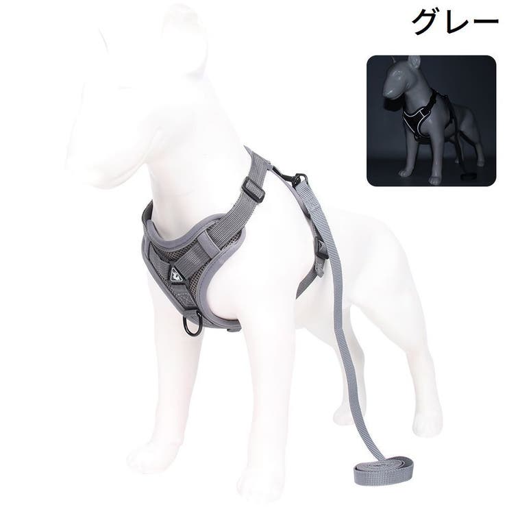 ハーネス リード セット | PlusNao | 詳細画像15 