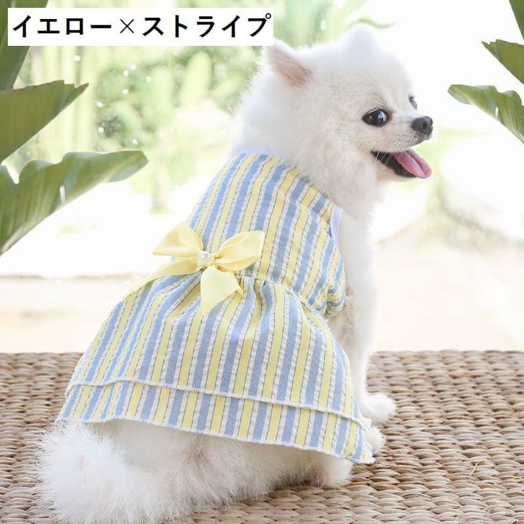 ドッグウェア ペットウェア ワンピース | PlusNao | 詳細画像15 