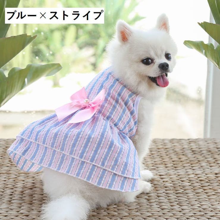 ドッグウェア ペットウェア ワンピース | PlusNao | 詳細画像16 