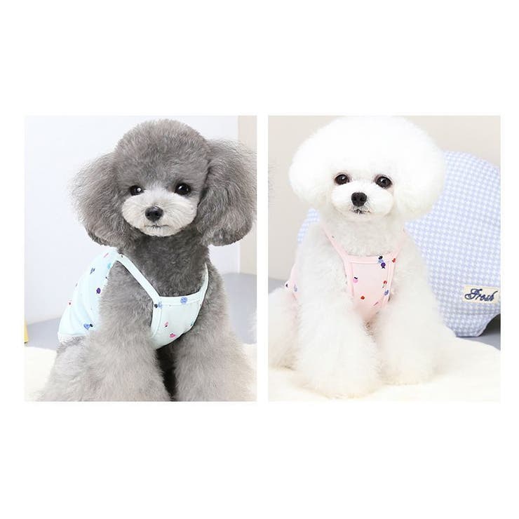 ペットウェア ドッグウェア 犬服 | PlusNao | 詳細画像5 