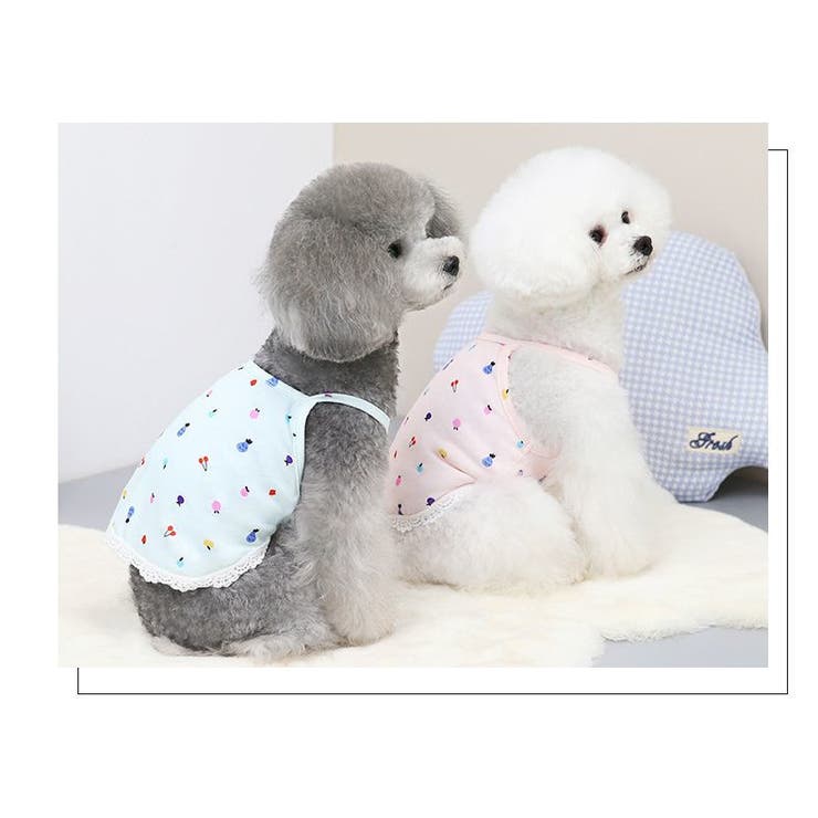 ペットウェア ドッグウェア 犬服 | PlusNao | 詳細画像6 