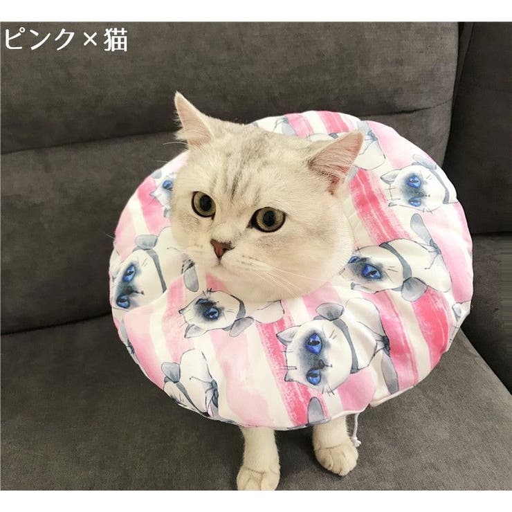 エリザベスカラー 猫用 猫用品 | PlusNao | 詳細画像10 