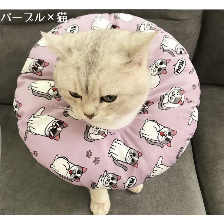 エリザベスカラー 猫用 猫用品 | PlusNao | 詳細画像11 