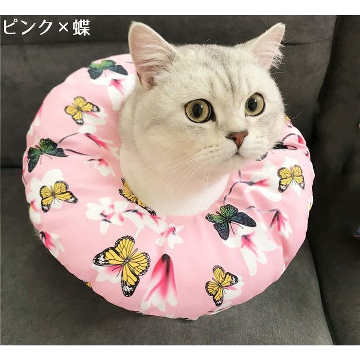 エリザベスカラー 猫用 猫用品 | PlusNao | 詳細画像2 