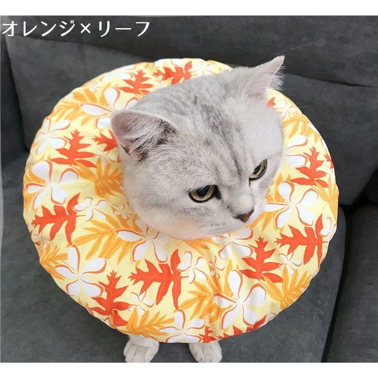 エリザベスカラー 猫用 猫用品 | PlusNao | 詳細画像6 