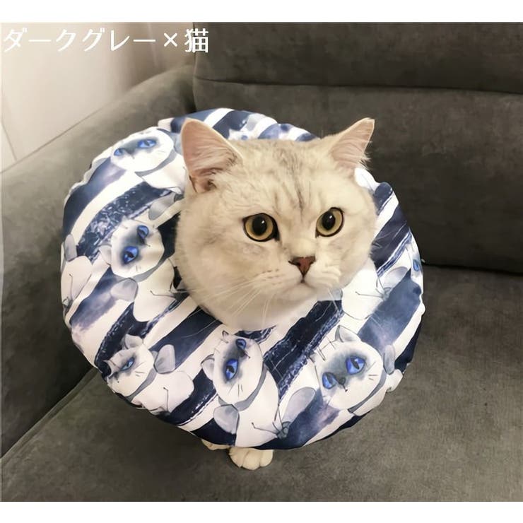 エリザベスカラー 猫用 猫用品 | PlusNao | 詳細画像9 