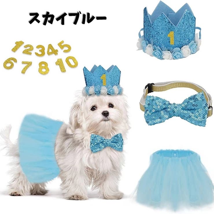 お誕生日お祝いセット ドックウェア 帽子 | PlusNao | 詳細画像7 