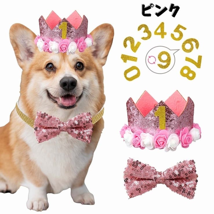 お誕生日お祝いセット ドックウェア 帽子 | PlusNao | 詳細画像8 