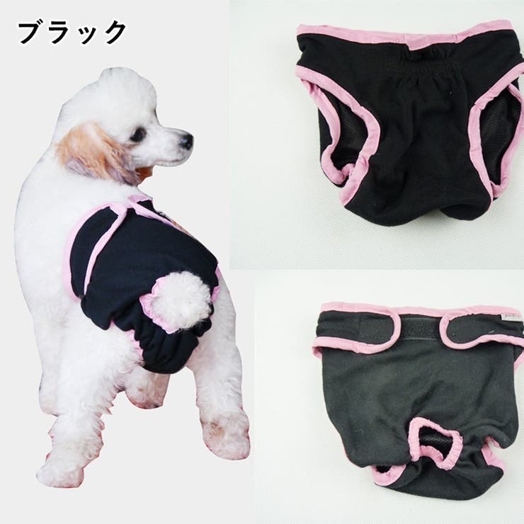 犬用サニタリーパンツ 犬用マナーパンツ 生理用パンツ 品番 Fq Plusnao プラスナオ のレディースファッション通販 Shoplist ショップリスト
