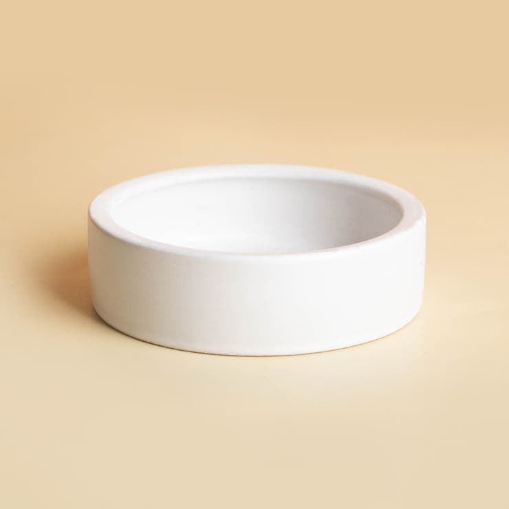 小動物用食器 爬虫類用食器 陶器 | PlusNao | 詳細画像14 