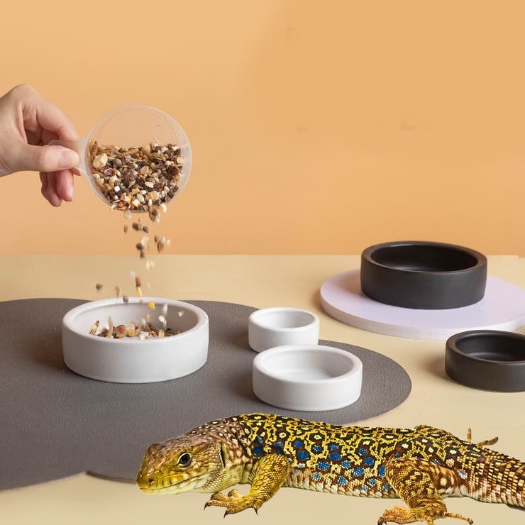 小動物用食器 爬虫類用食器 陶器 | PlusNao | 詳細画像2 