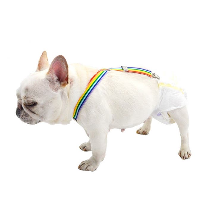 オムツサスペンダー 犬用 ペット用 | PlusNao | 詳細画像5 