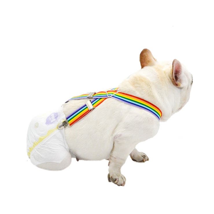 オムツサスペンダー 犬用 ペット用 | PlusNao | 詳細画像6 