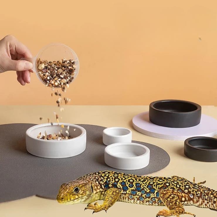 エサ入れ 餌入れ 水入れ | PlusNao | 詳細画像2 