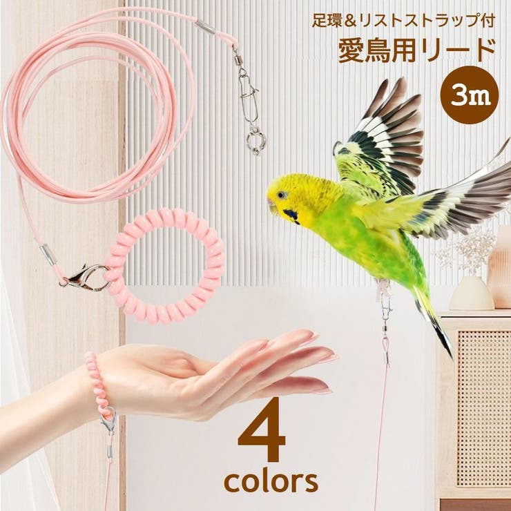 鳥 リード 販売