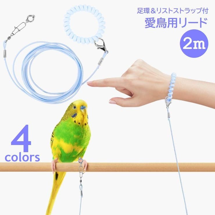 鳥用 足環付きリード 2m | PlusNao | 詳細画像1 