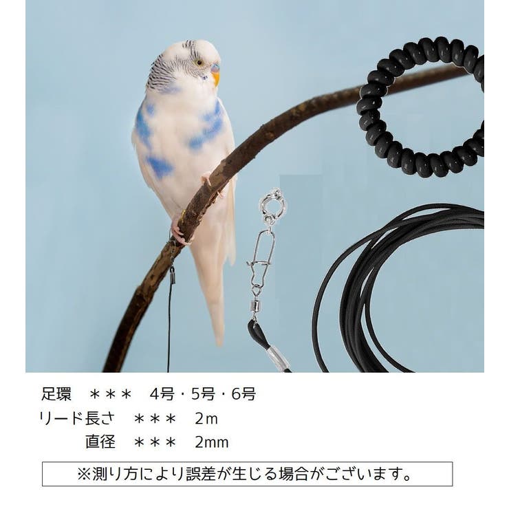 鳥用 足環付きリード 2m | PlusNao | 詳細画像10 