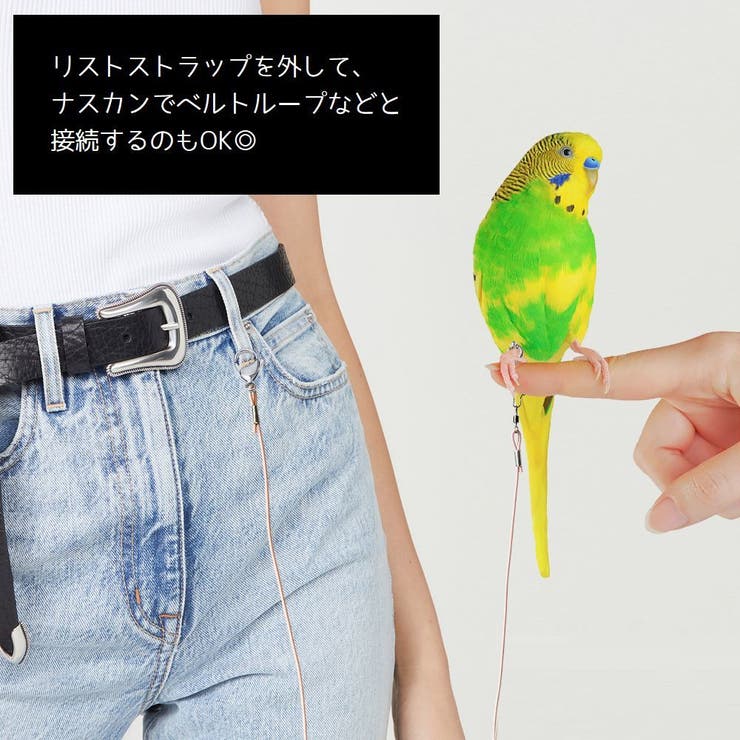 鳥用 足環付きリード 2m | PlusNao | 詳細画像4 