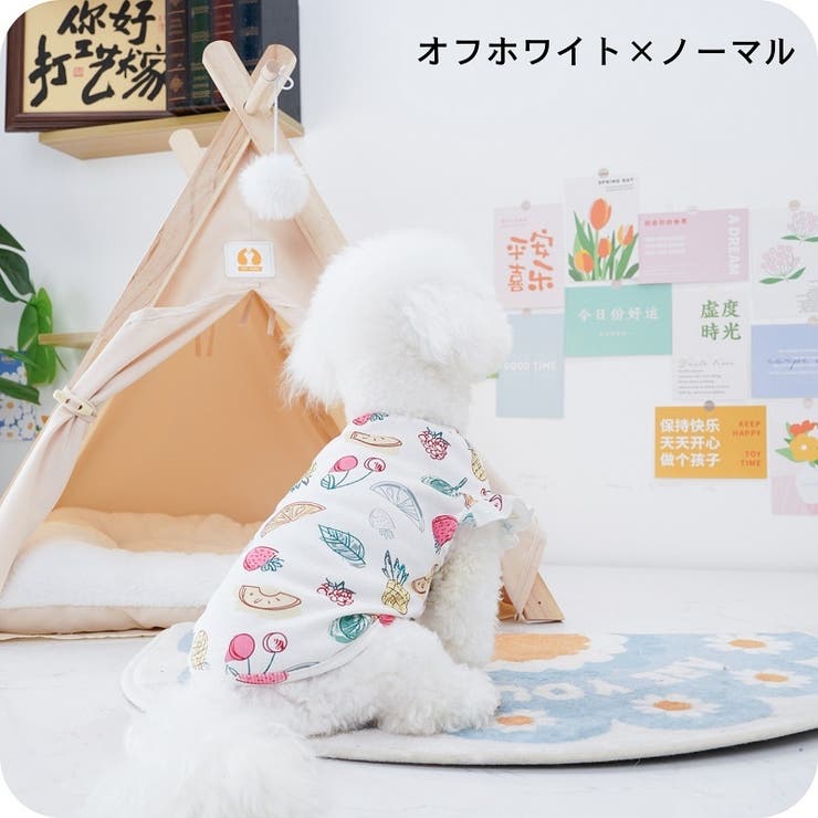 ペットウェア カットソー フリル | PlusNao | 詳細画像6 