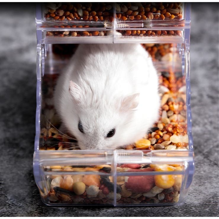 小動物用食器 小動物用エサ入れ 自動給餌器 | PlusNao | 詳細画像5 
