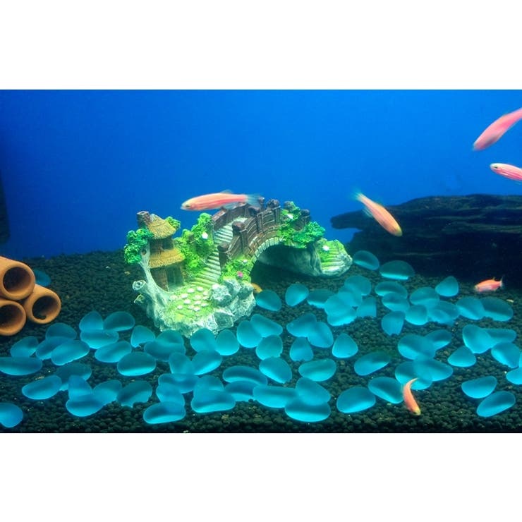 水槽用模型 金魚 熱帯魚 | PlusNao | 詳細画像2 