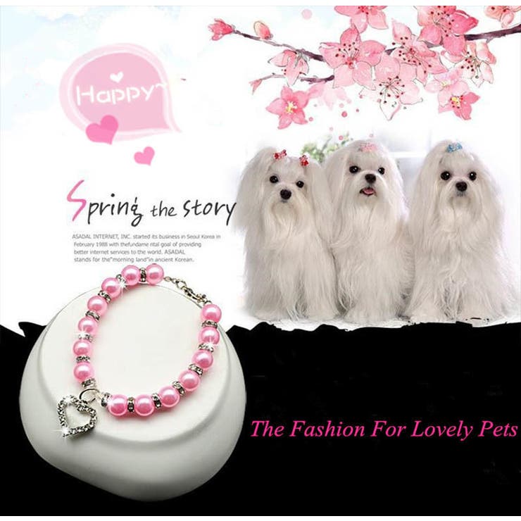 ペット用ネックレス 犬用 小型犬 | PlusNao | 詳細画像3 