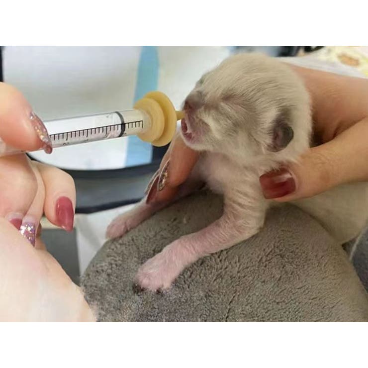 シリンジ 乳首 シリコンニップル | PlusNao | 詳細画像6 