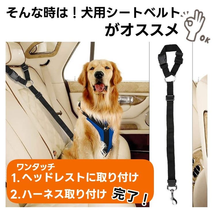 ペット用シートベルト 犬用 犬[品番：FQ000166707]｜PlusNao