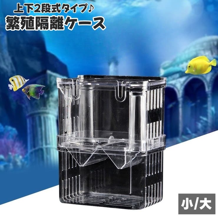 繁殖隔離ケース 産卵ケース 隔離ケース[品番：FQ000216926