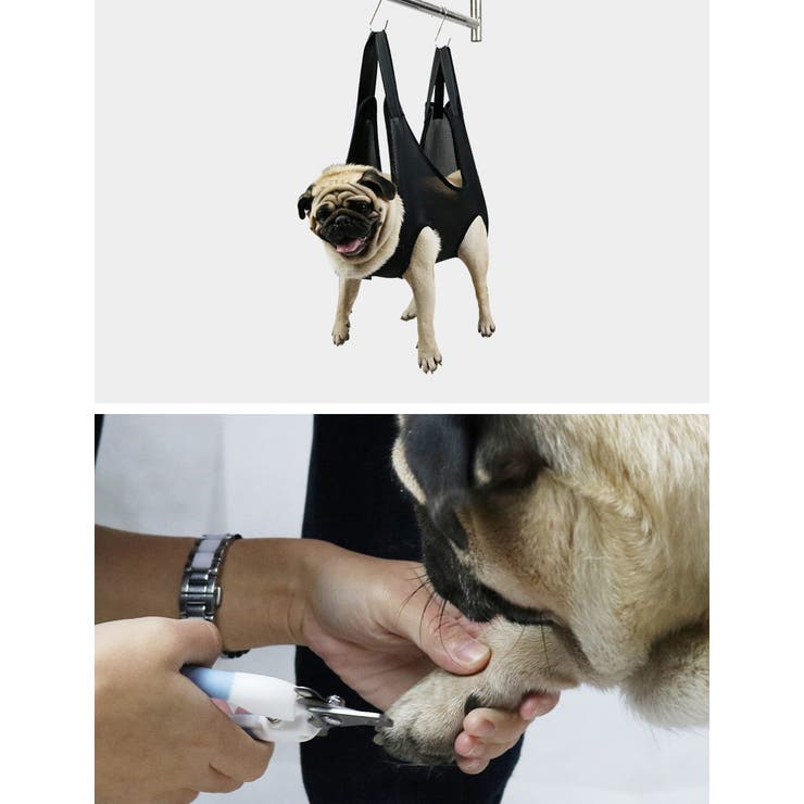 グルーミングハンモック ペット用 猫用 | PlusNao | 詳細画像4 