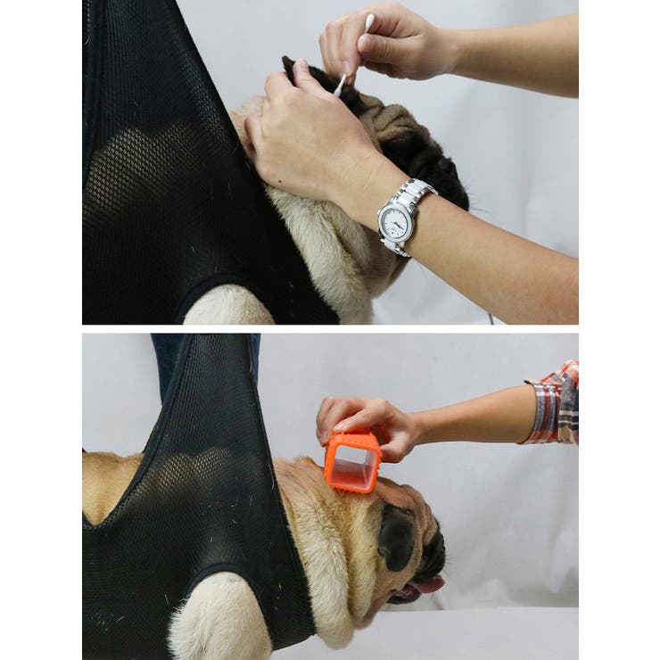 グルーミングハンモック ペット用 猫用 | PlusNao | 詳細画像5 