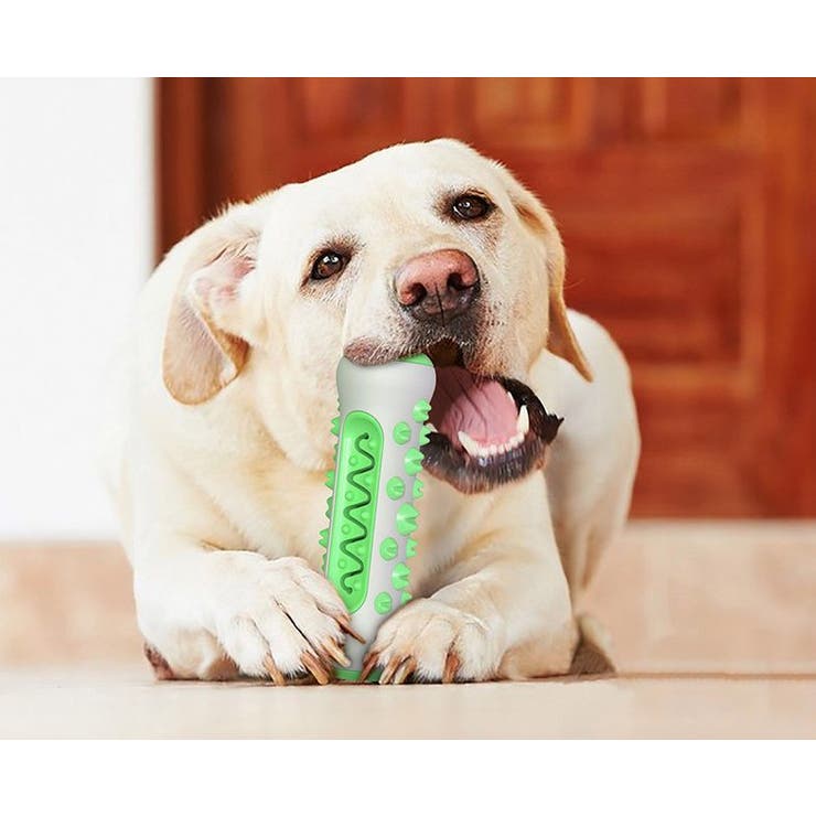 犬用おもちゃ 噛んで歯磨き 犬 ストレス解消 歯 ケア 健康 ペット ドッグ 安心 安全 愛犬 耐久性 投げても遊べる 口臭予防 清潔
