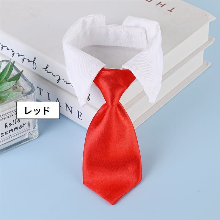 ネクタイ ペット用 付け襟[品番：FQ000185724]｜PlusNao（プラスナオ