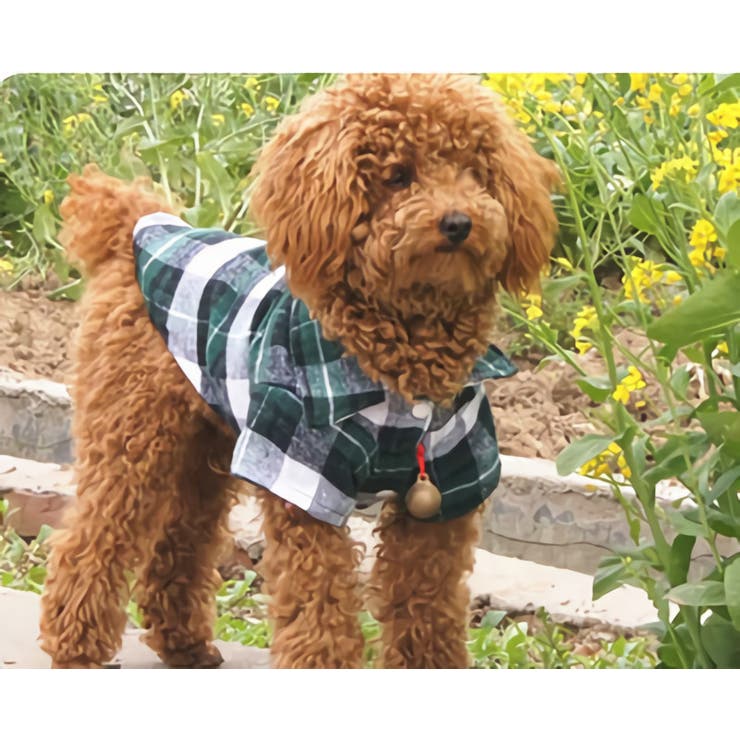 ペットウェア ドッグウェア 犬服 | PlusNao | 詳細画像2 