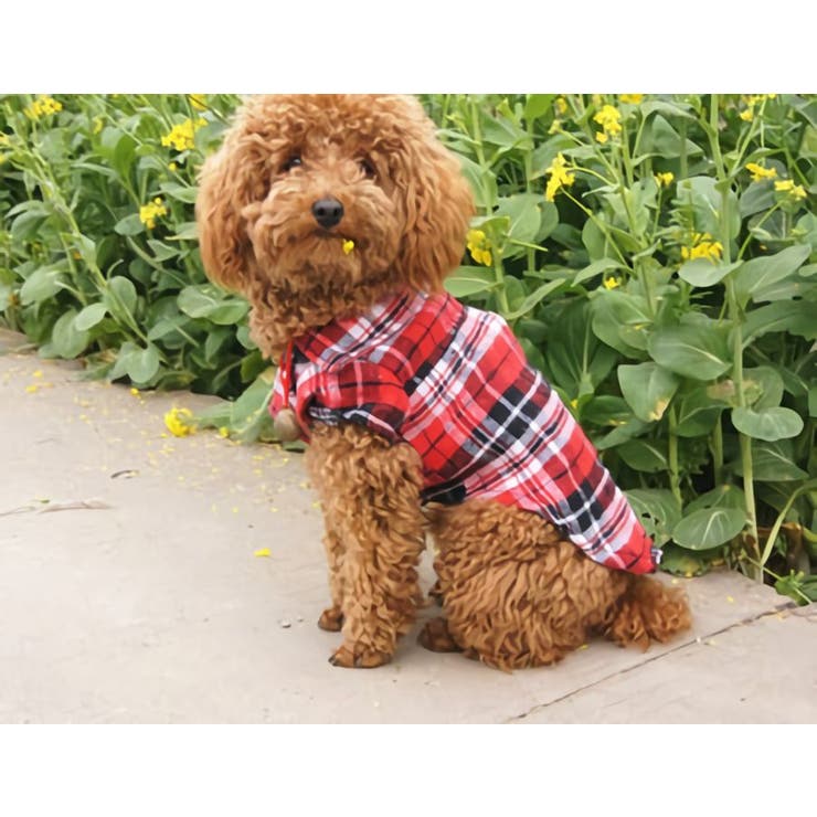 ペットウェア ドッグウェア 犬服 | PlusNao | 詳細画像3 