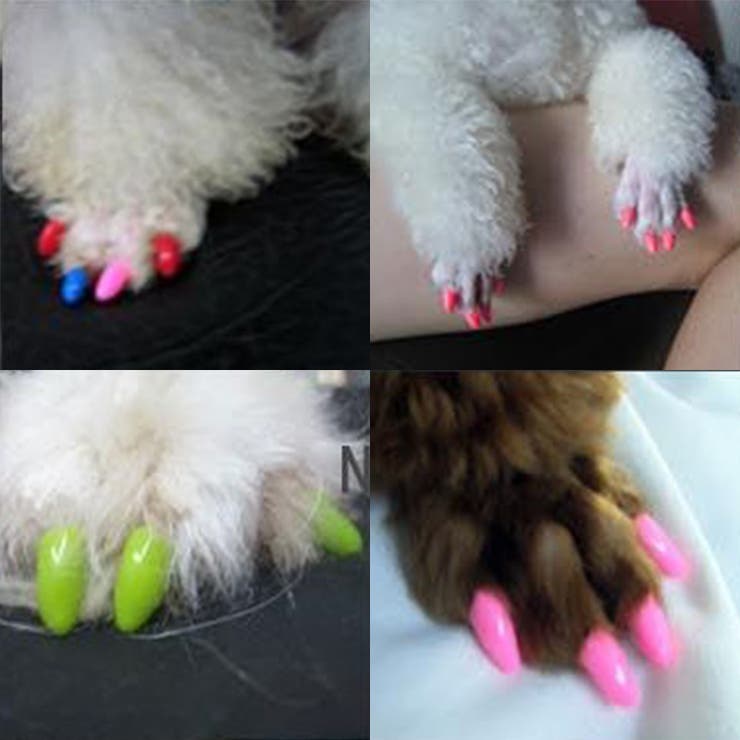 ネイルキャップ ネイルカバー 犬 用 品番 Fq Plusnao プラスナオ のレディースファッション通販 Shoplist ショップリスト