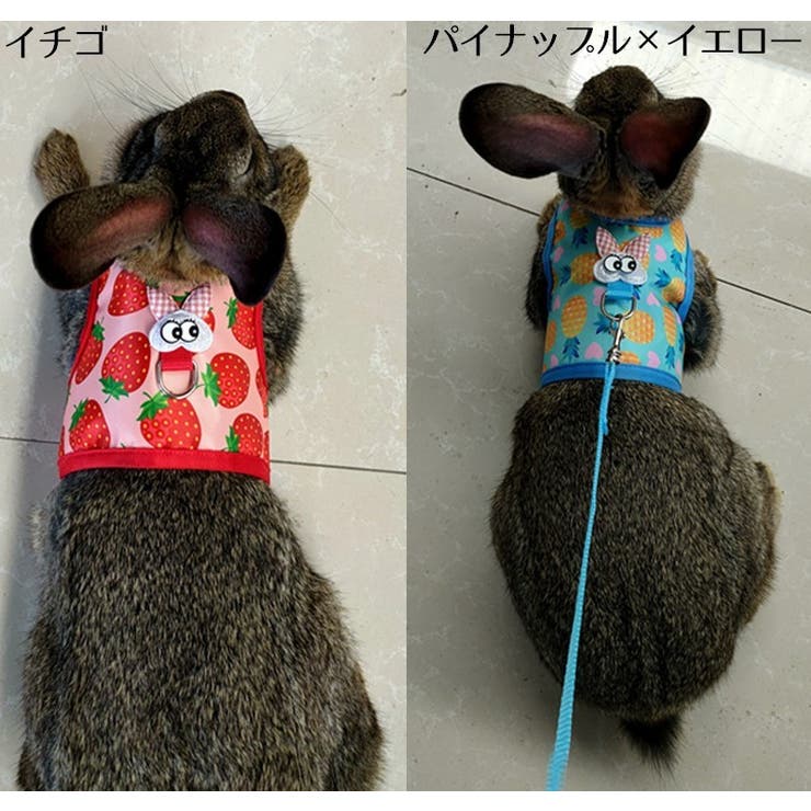 小動物用ハーネス リード 2点セット | PlusNao | 詳細画像6 