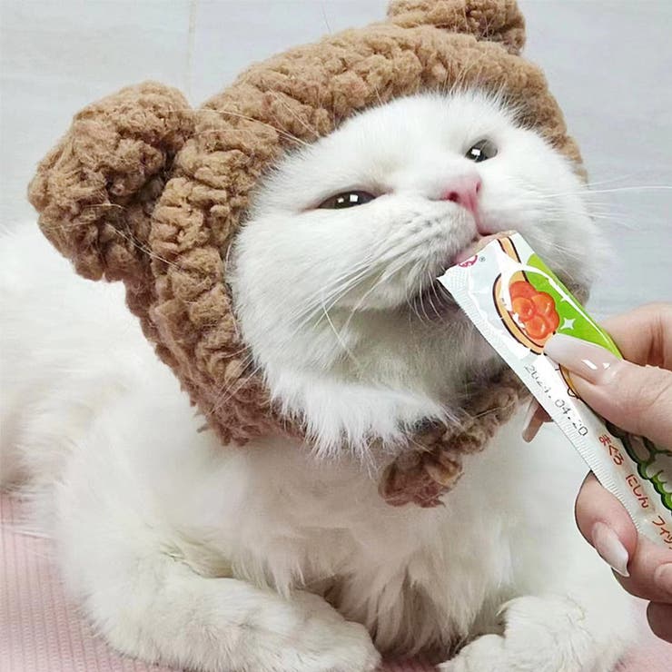 ペット用コスプレ帽子 耳付き 犬 | PlusNao | 詳細画像4 