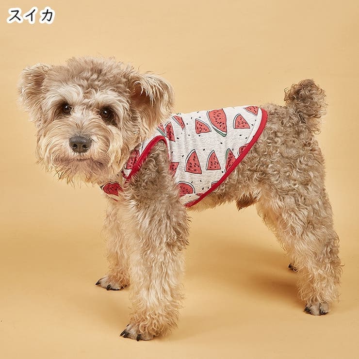 ペット用タンクトップ 犬用タンクトップ イヌ | PlusNao | 詳細画像14 