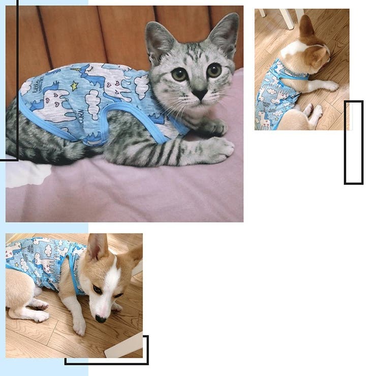 ペット用タンクトップ 犬用タンクトップ イヌ | PlusNao | 詳細画像2 