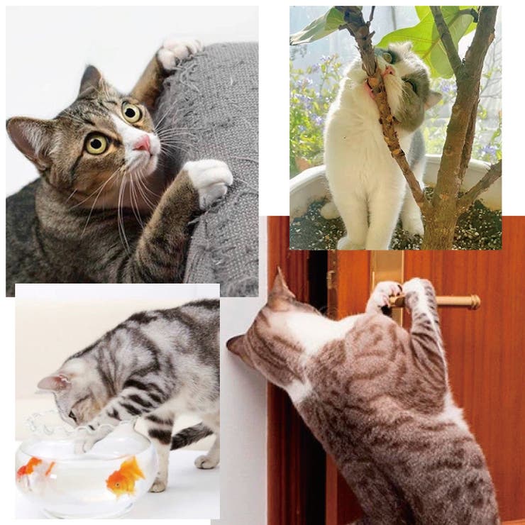 猫よけシート 猫よけマット トゲトゲ[品番：FQ000181746]｜PlusNao